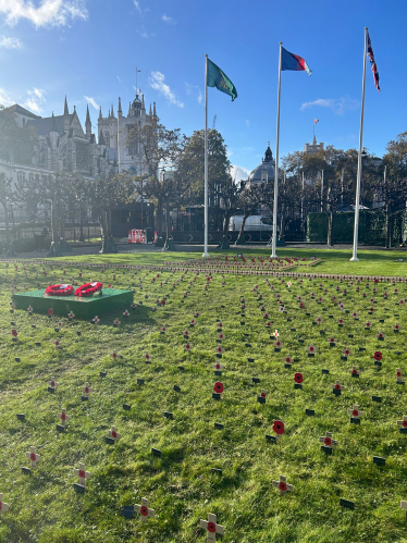 Planted cross in Westminster 
